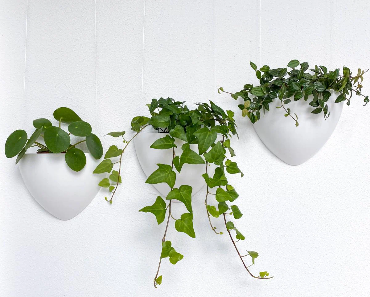 Kit Cache-pot de fleurs suspendu Blanc - suspension de Jardinière Botaniq Artiteq - Image 9